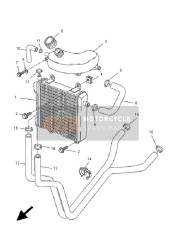 Radiator & Hose